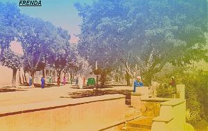 FRENDA 07  BD FOCH
